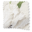 Tulipes Crème S-Wave Image synthèse